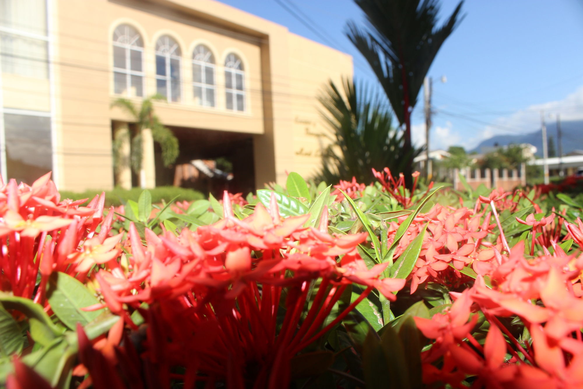 Hotel La Quinta La Ceiba Luaran gambar